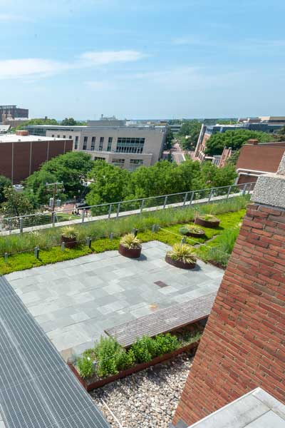 a verdant rooftop garden atop a v.c.u. campus building